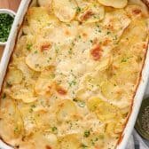 baked scalloped potatoes in dish with herbs