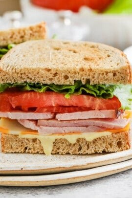 close up of Ham Sandwich