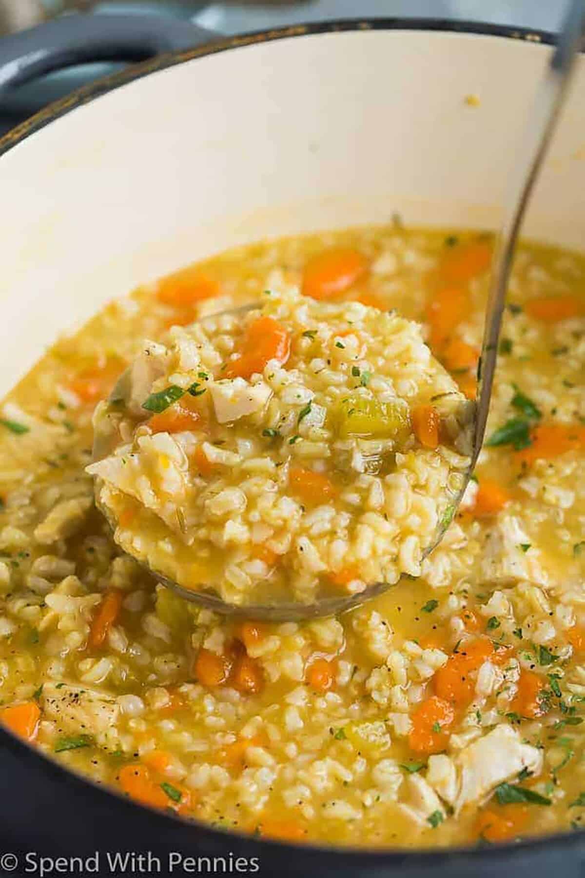 pot of Chicken Rice Soup with a ladle